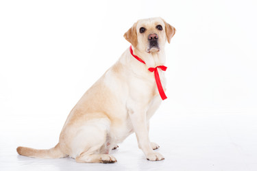 Similar image 6024366