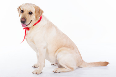 Similar image 6024368