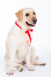 Similar image 6024369