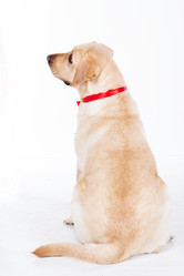 Similar image 6024370