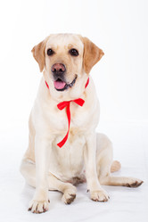 Similar image 6024371