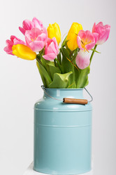 Similar image 6024422