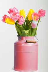 Similar image 6024423