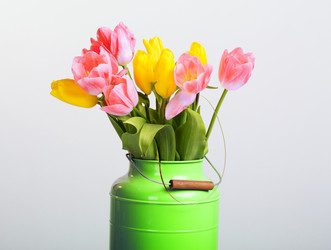 Similar image 6024429