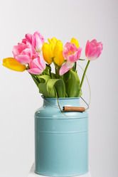 Similar image 6024431