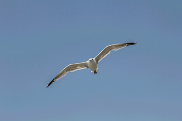 Similar image 6024612