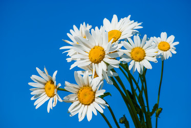 Similar image 6024620