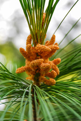 Similar image 6024632