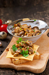 Similar image 6024902