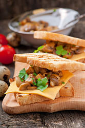 Similar image 6024908