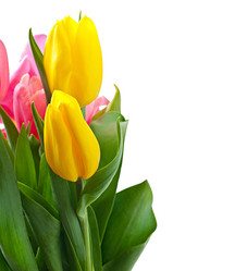 Similar image 6024927