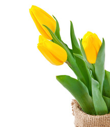 Similar image 6024940