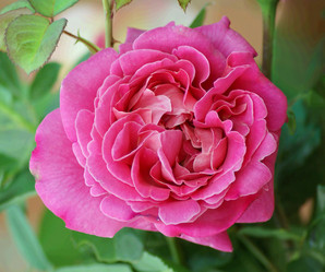 Similar image 6025112