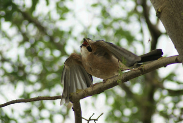 Similar image 6025512