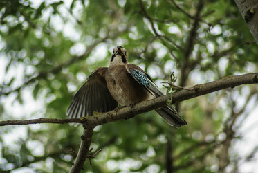 Similar image 6025709