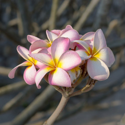 Similar image 6025944