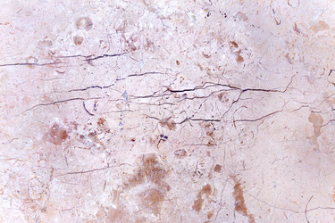 Similar image 6026104