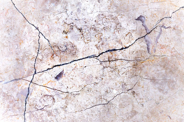 Similar image 6026105