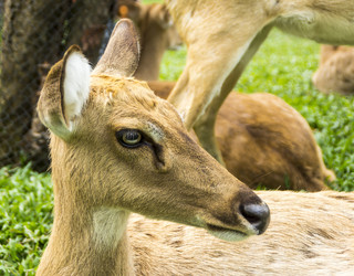 Similar image 6026128