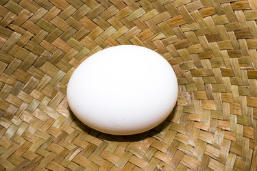 Similar image 6026133