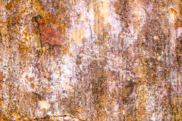 Similar image 6026152