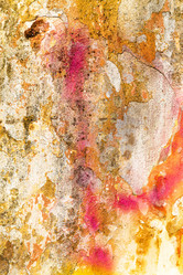 Similar image 6026157