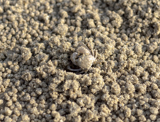 Similar image 6027356