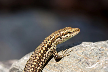 Similar image 6044996