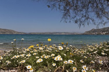 Similar image 6044998