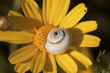 Similar image 6044999