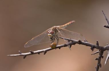 Similar image 6045001