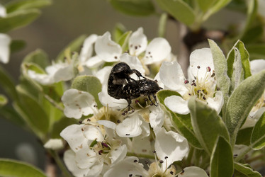 Similar image 6045017