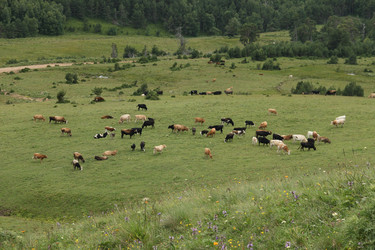 Similar image 6045074