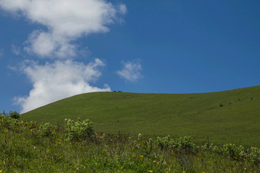 Similar image 6046403