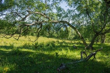 Similar image 6046404