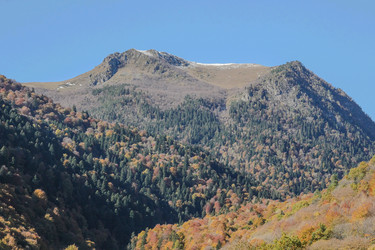 Similar image 6047105