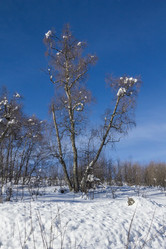 Similar image 6047883