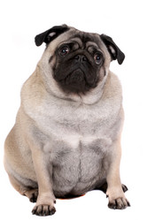 Similar image 6047907