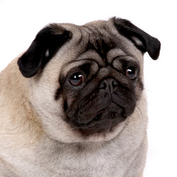 Similar image 6047908