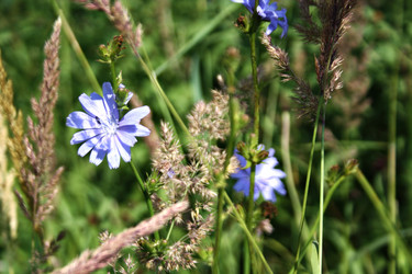 Similar image 6047923