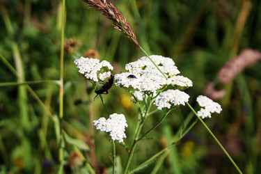 Similar image 6047924