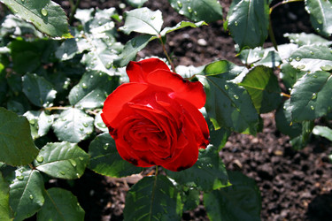 Similar image 6047925