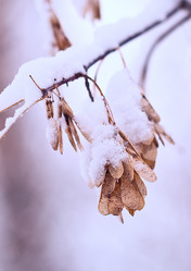 Similar image 6047933