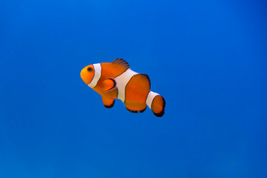 Similar image 6047993