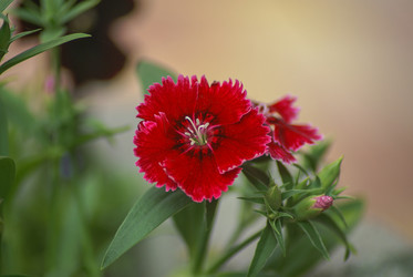 Similar image 6047997