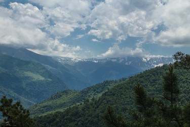 Similar image 6048003