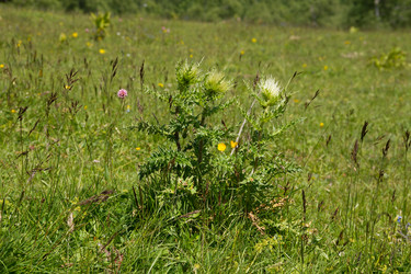 Similar image 6048004