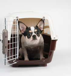 Similar image 6048011