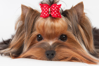 Similar image 6048027