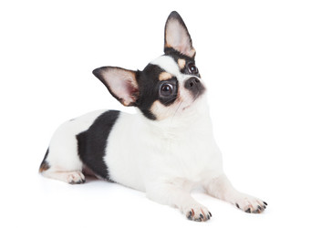 Similar image 6048033